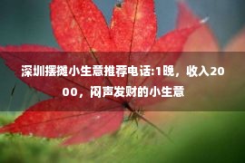 深圳摆摊小生意推荐电话:1晚，收入2000，闷声发财的小生意