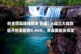 创业项目赚钱观念 开盘：A股三大指数低开创业板跌0.45%，贵金属板块领涨，一带一起概念活泼