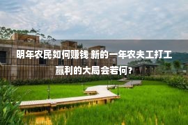 明年农民如何赚钱 新的一年农夫工打工赢利的大局会若何？