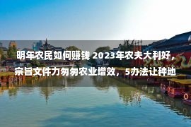 明年农民如何赚钱 2023年农夫大利好，宗旨文件力匆匆农业增效，5办法让种地多赢利