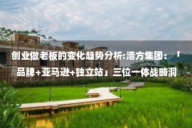 创业做老板的变化趋势分析:浩方集团：「品牌+亚马逊+独立站」三位一体战略洞察方案帮助制造业品牌洞悉出海先机