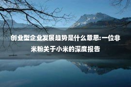 创业型企业发展趋势是什么意思:一位非米粉关于小米的深度报告