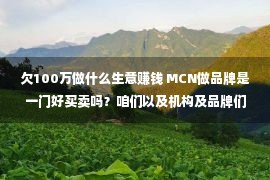 欠100万做什么生意赚钱 MCN做品牌是一门好买卖吗？咱们以及机构及品牌们聊了聊