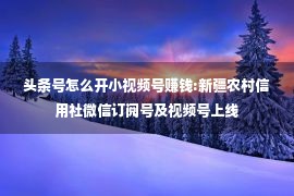 头条号怎么开小视频号赚钱:新疆农村信用社微信订阅号及视频号上线