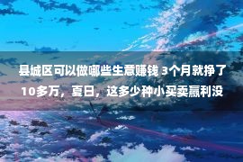 县城区可以做哪些生意赚钱 3个月就挣了10多万，夏日，这多少种小买卖赢利没有暗昧！