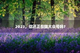  2023，你还正在做大众号吗？