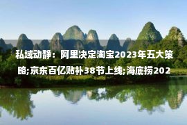  私域动静：阿里决定淘宝2023年五大策略;京东百亿贴补38节上线;海底捞2022年净成本没有低于13亿元…