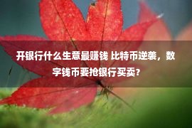 开银行什么生意最赚钱 比特币逆袭，数字钱币要抢银行买卖？