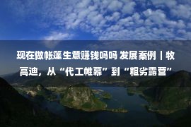 现在做帐篷生意赚钱吗吗 发展案例｜牧高迪，从“代工帷幕”到“粗劣露营”