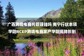 广西跨境电商托管赚钱吗 南宁行状本领学院RCEP跨境电商家产学院揭牌创制