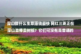 深山做什么生意赚钱最快 网红三更正在深山直播卖树桩？它们可没有是普通的植物