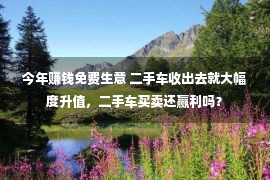 今年赚钱免费生意 二手车收出去就大幅度升值，二手车买卖还赢利吗？