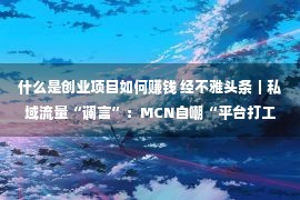 什么是创业项目如何赚钱 经不雅头条｜私域流量“谰言”：MCN自嘲“平台打工人”，想赢利只可靠投流