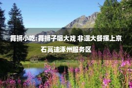 舞狮小吃:舞狮子唱大戏 非遗大餐摆上京石高速涿州服务区