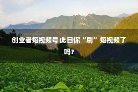 创业者短视频号 此日你“刷”短视频了吗？