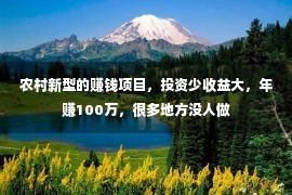 农村新型的赚钱项目，投资少收益大，年赚100万，很多地方没人做