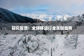 研究报告：全球移动行业关键趋势