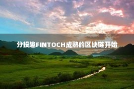 分投趣FINTOCH成熟的区块链开始