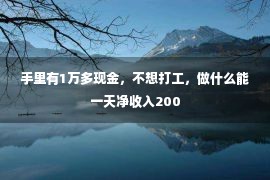 手里有1万多现金，不想打工，做什么能一天净收入200