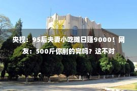 央视：95后夫妻小吃摊日赚9000！网友：500斤你削的完吗？这不对