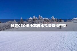 粉笔CEO张小龙试水抖音直播带货