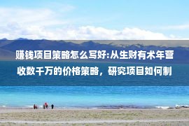 赚钱项目策略怎么写好:从生财有术年营收数千万的价格策略，研究项目如何制定价格策略