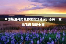 中国经济开局整体呈现企稳回升态势｜全球飞翔 跨境电商