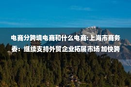 电商分跨境电商和什么电商:上海市商务委：继续支持外贸企业拓展市场 加快跨境电商海外仓发展