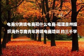 电商分跨境电商和什么电商:福建泉州组织海外华裔青年跨境电商培训 约三千学员“云”听课