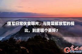 俄军日常伙食曝光，与我国解放军的相比，到底哪个更好？