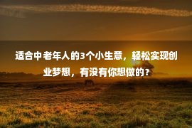 适合中老年人的3个小生意，轻松实现创业梦想，有没有你想做的？