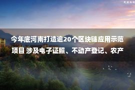 今年底河南打造逾20个区块链应用示范项目 涉及电子证照、不动产登记、农产品溯源等