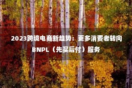 2023跨境电商新趋势：更多消费者转向BNPL（先买后付）服务