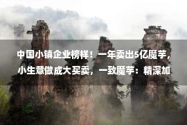 中国小镇企业榜样！一年卖出5亿魔芋，小生意做成大买卖，一致魔芋：精深加工是短板，莫把上市当终点