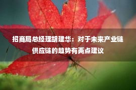 招商局总经理胡建华：对于未来产业链供应链的趋势有两点建议