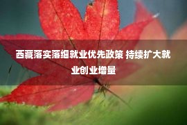 西藏落实落细就业优先政策 持续扩大就业创业增量