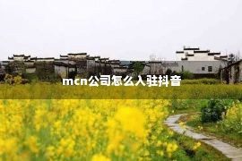 mcn公司怎么入驻抖音