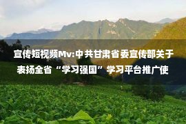 宣传短视频Mv:中共甘肃省委宣传部关于表扬全省“学习强国”学习平台推广使用工作先进学习组织、先进学习个人及优秀短视频的通报