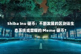 Shiba Inu 硬币：不断发展的区块链生态系统或荣耀的 Meme 硬币？