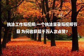 执法工作短视频:一个执法实录短视频节目 为何收获超千万人次点赞？