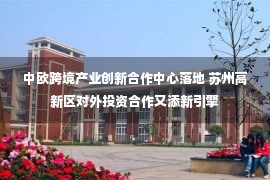 中欧跨境产业创新合作中心落地 苏州高新区对外投资合作又添新引擎