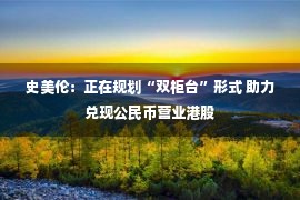 史美伦：正在规划“双柜台”形式 助力兑现公民币营业港股