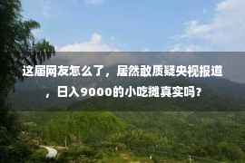 这届网友怎么了，居然敢质疑央视报道，日入9000的小吃摊真实吗？