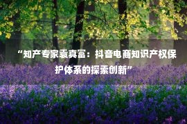 “知产专家袁真富：抖音电商知识产权保护体系的探索创新”