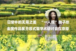 日常中的无用之美　“一人观”魏子欣金属作品展开幕式暨学术研讨会在京举行