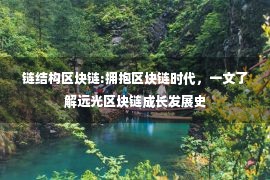 链结构区块链:拥抱区块链时代，一文了解远光区块链成长发展史