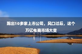 跑出10多家上市公司，风口过后，这个万亿电商市场大变