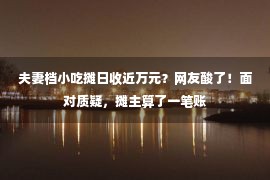 夫妻档小吃摊日收近万元？网友酸了！面对质疑，摊主算了一笔账