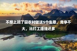 不想上班了回农村做这5个生意，竞争不大，比打工赚钱还多