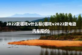 2022款哪吒v什么标(哪吒v2022款电动汽车报价)